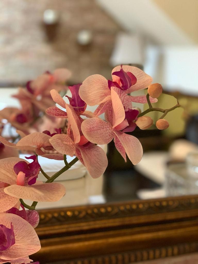Hostal Villa Toscana Città del Guatemala Esterno foto